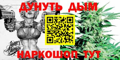 крисы Будённовск