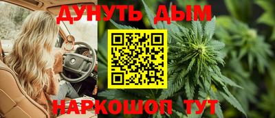 крисы Будённовск