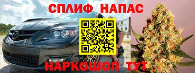 крисы Будённовск